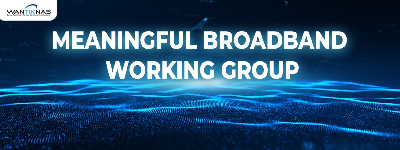 Meaningful Broadband Working Group